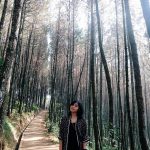 Hutan di Bandung
