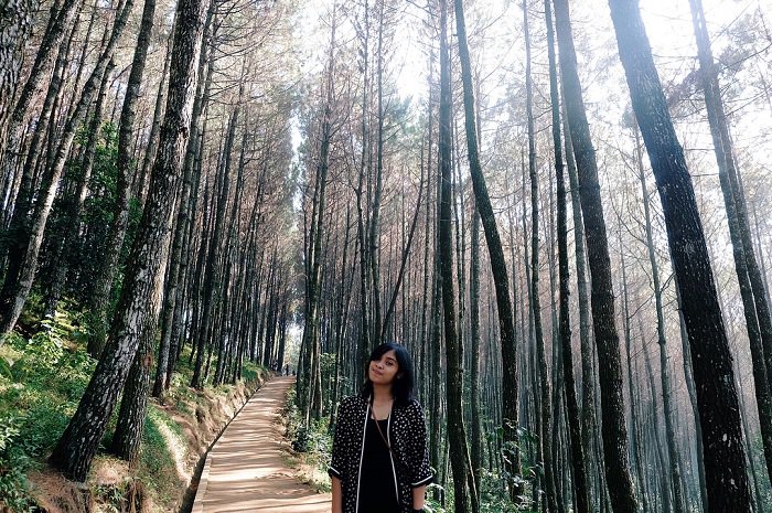 Hutan di Bandung