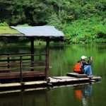 14 Tempat Wisata Puncak Bogor yang Menarik Para Wisatawan