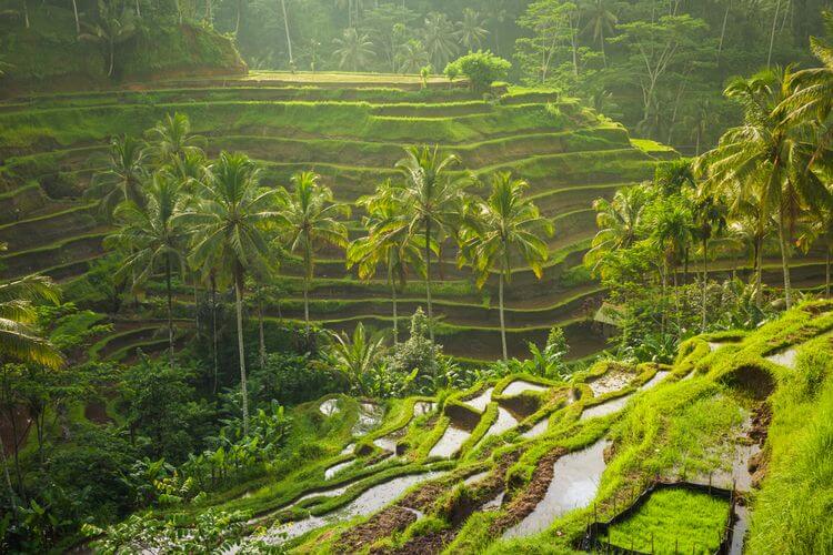Wisata Alam di Bali